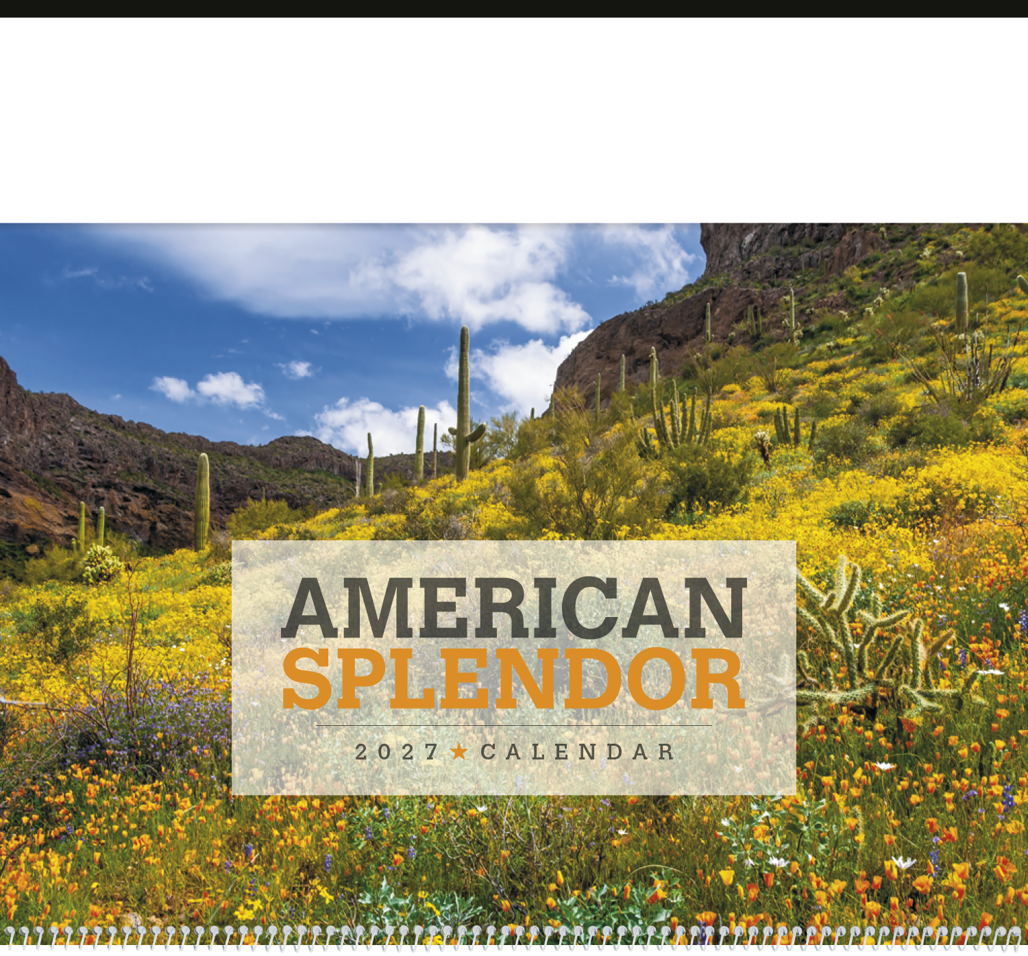 Triumph® Calendars American Splendor Calendar 59