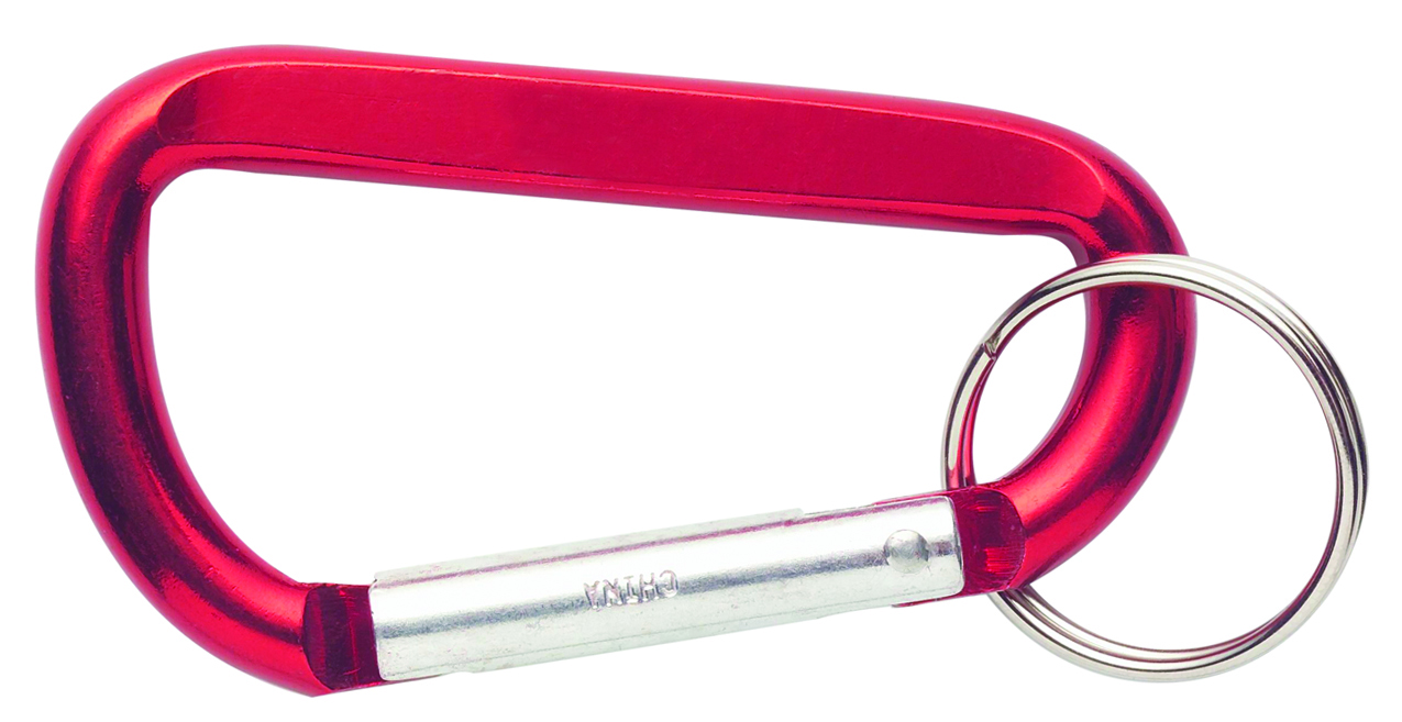 Carabiners With Keyring