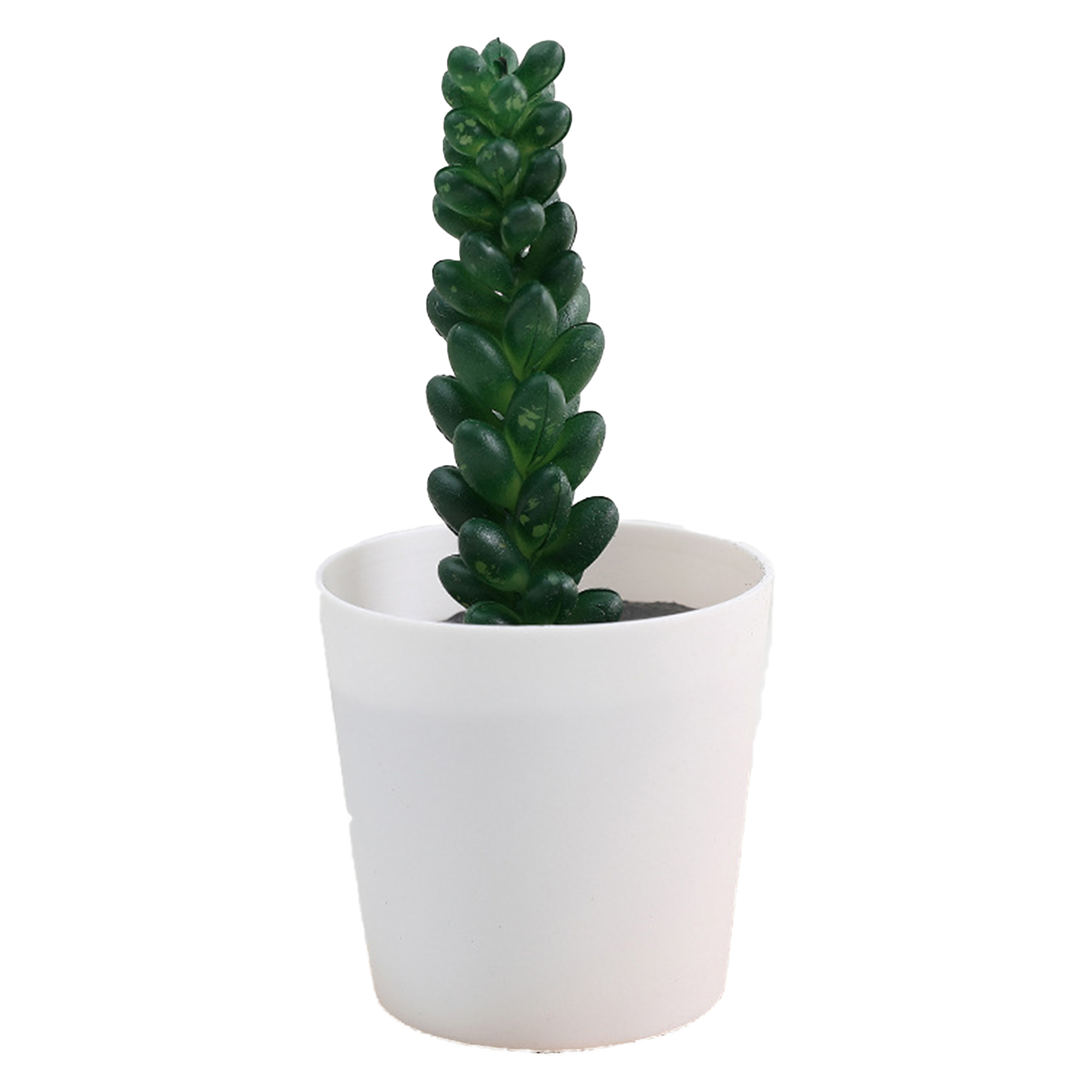 Mini Succulent Potted Plant Set for Home Decor 4