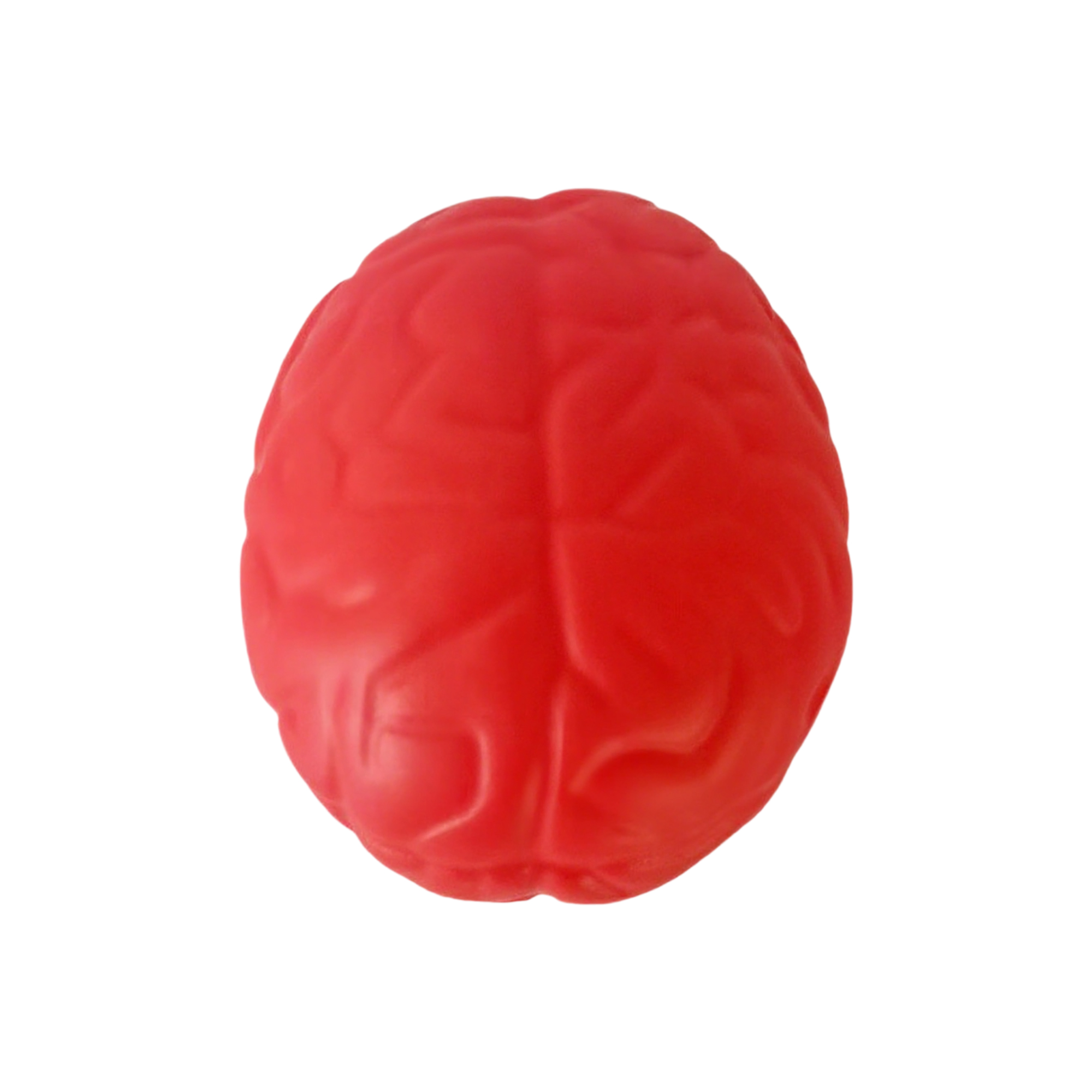 Brain Shape Foam Stress Reliever For Office And Education Use 2