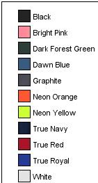 PosiCharge RacerMesh Visor