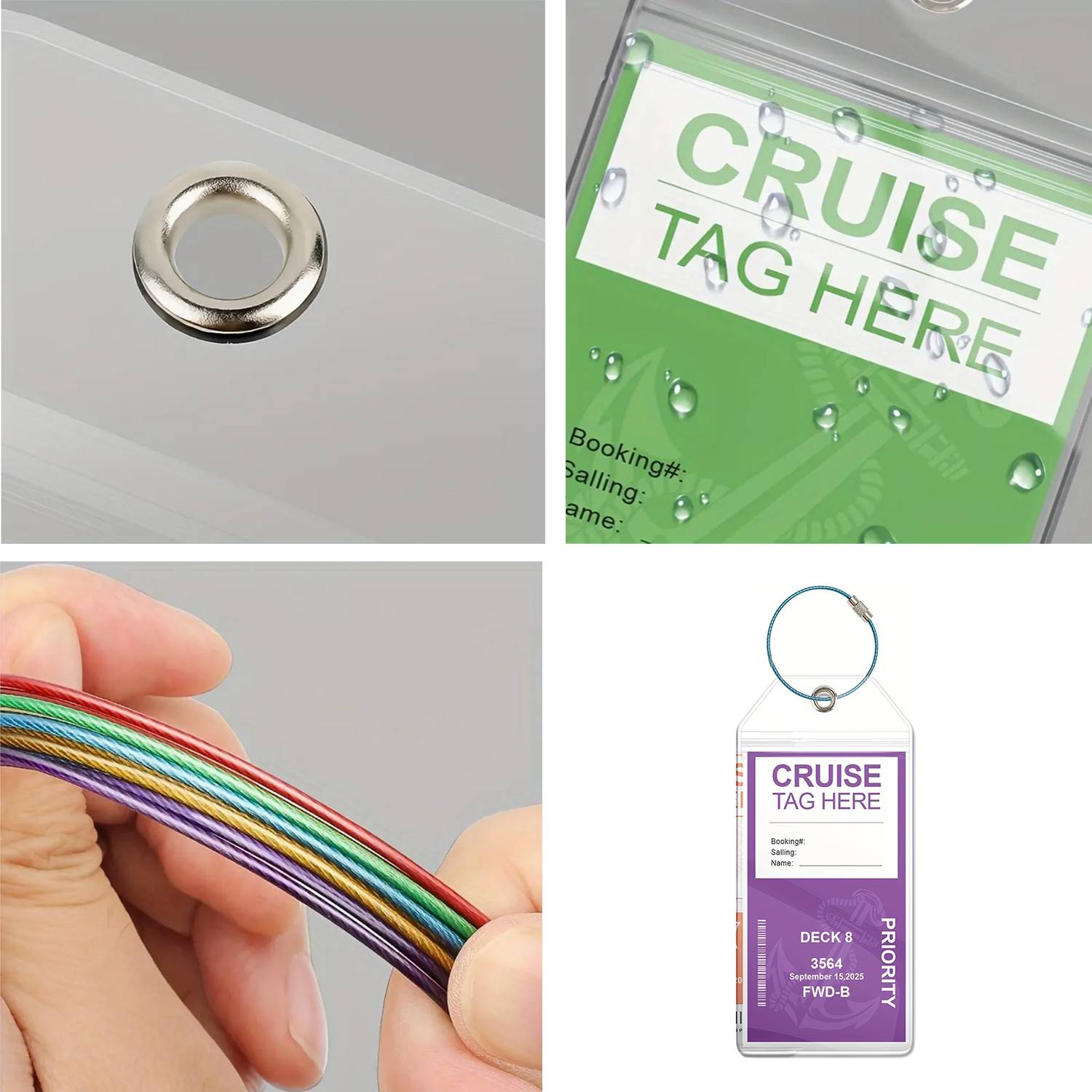 Carnival Cruise Luggage W/ Boarding Tags 3