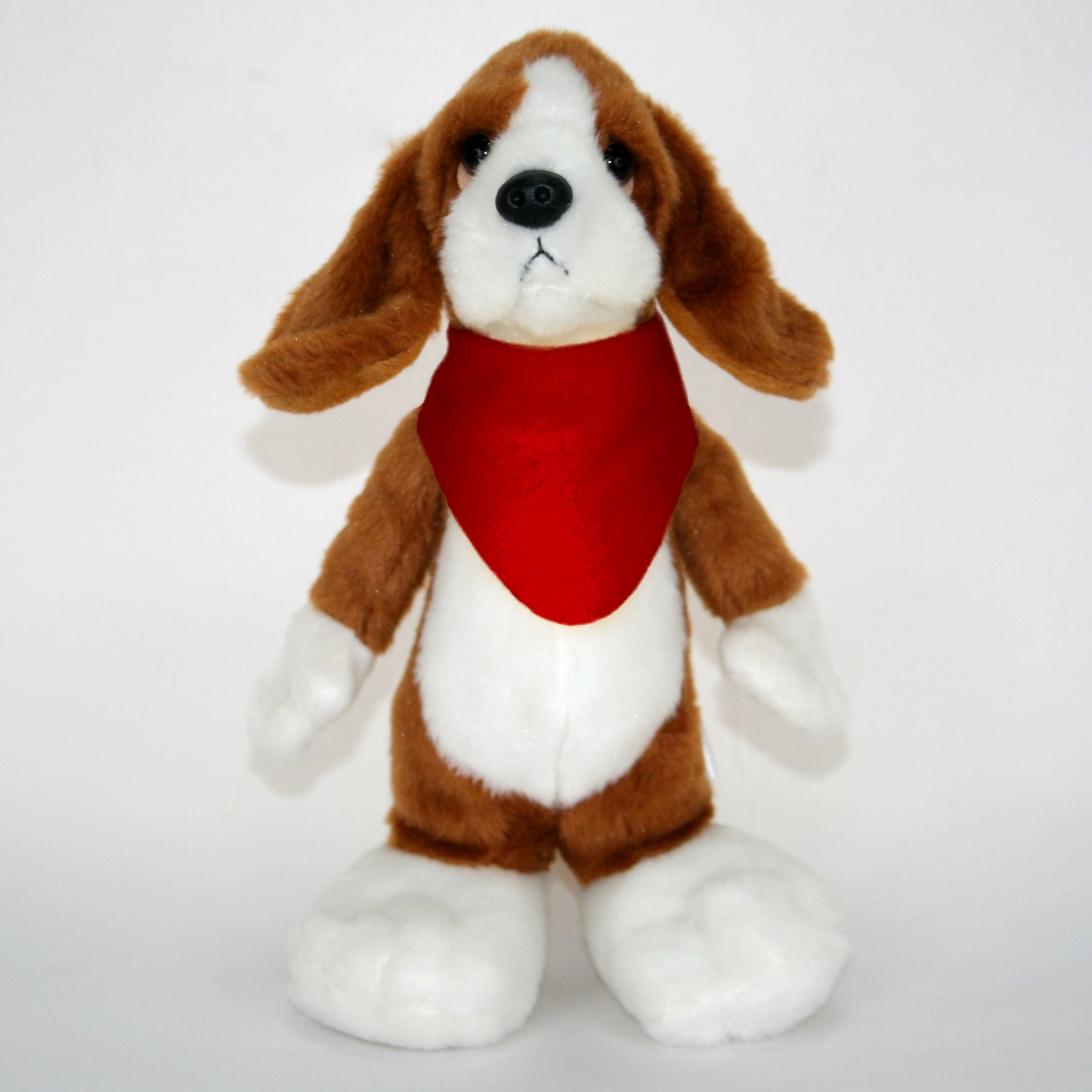 10" Long Body Beagle 14