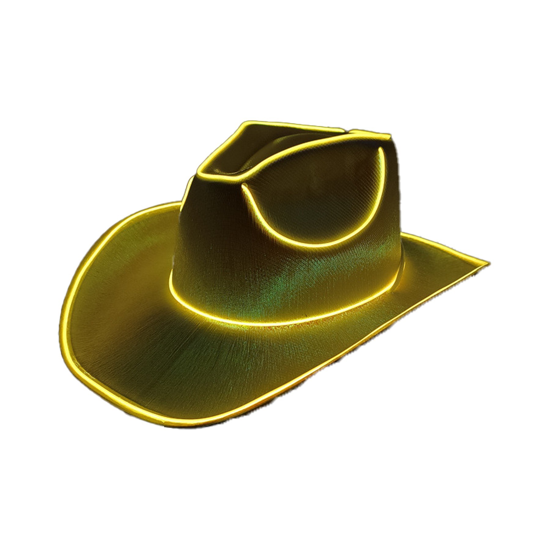 Shine Cowboy Hat 2