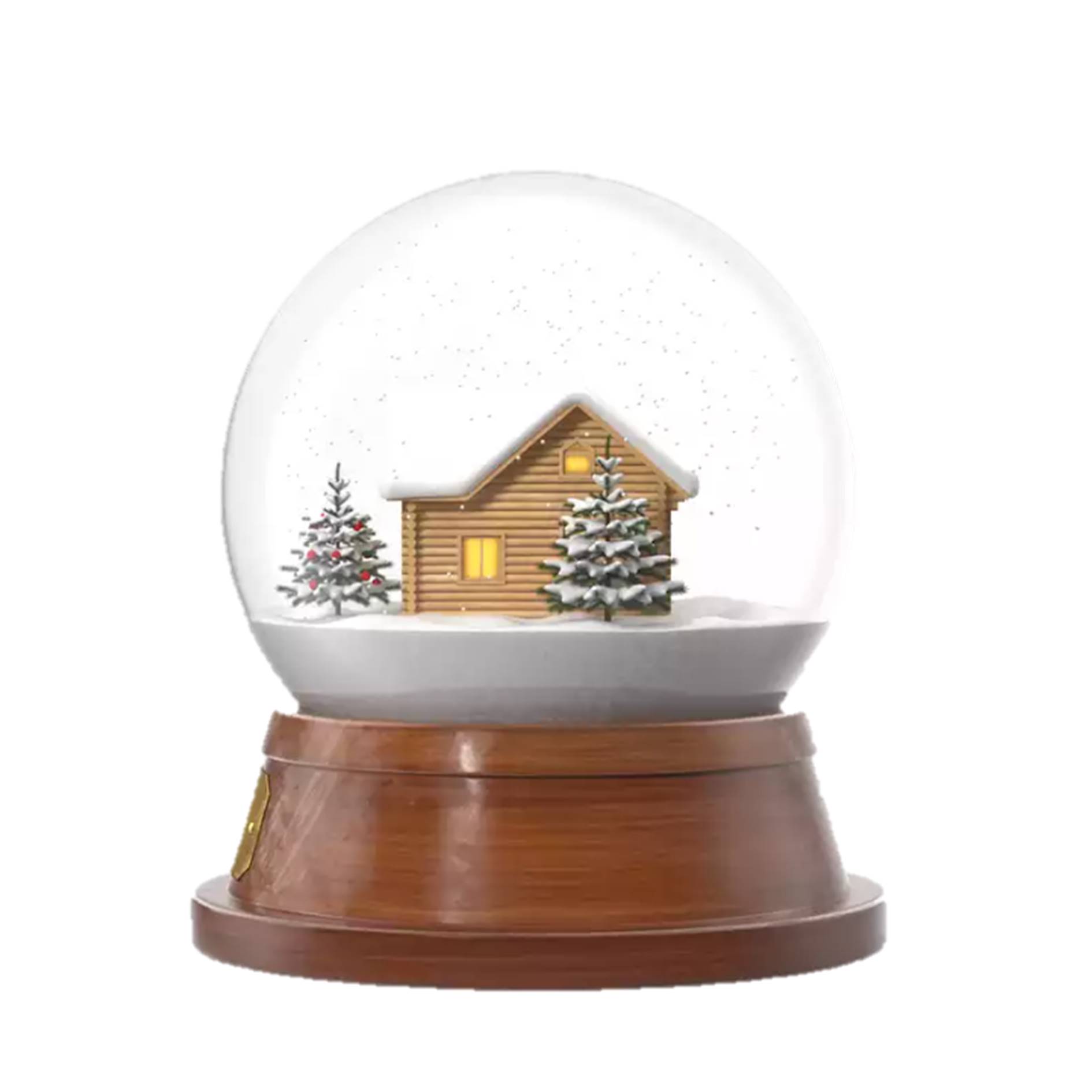 Custom Christmas Snow Globe 2