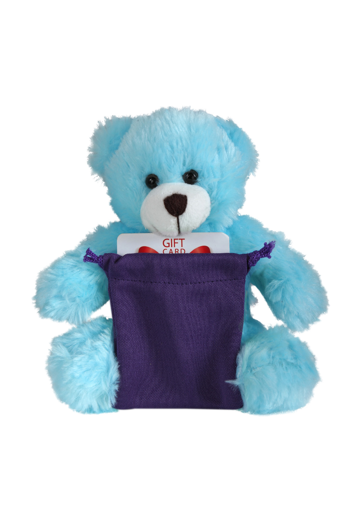 soft plush Blue Bear with gift card sack