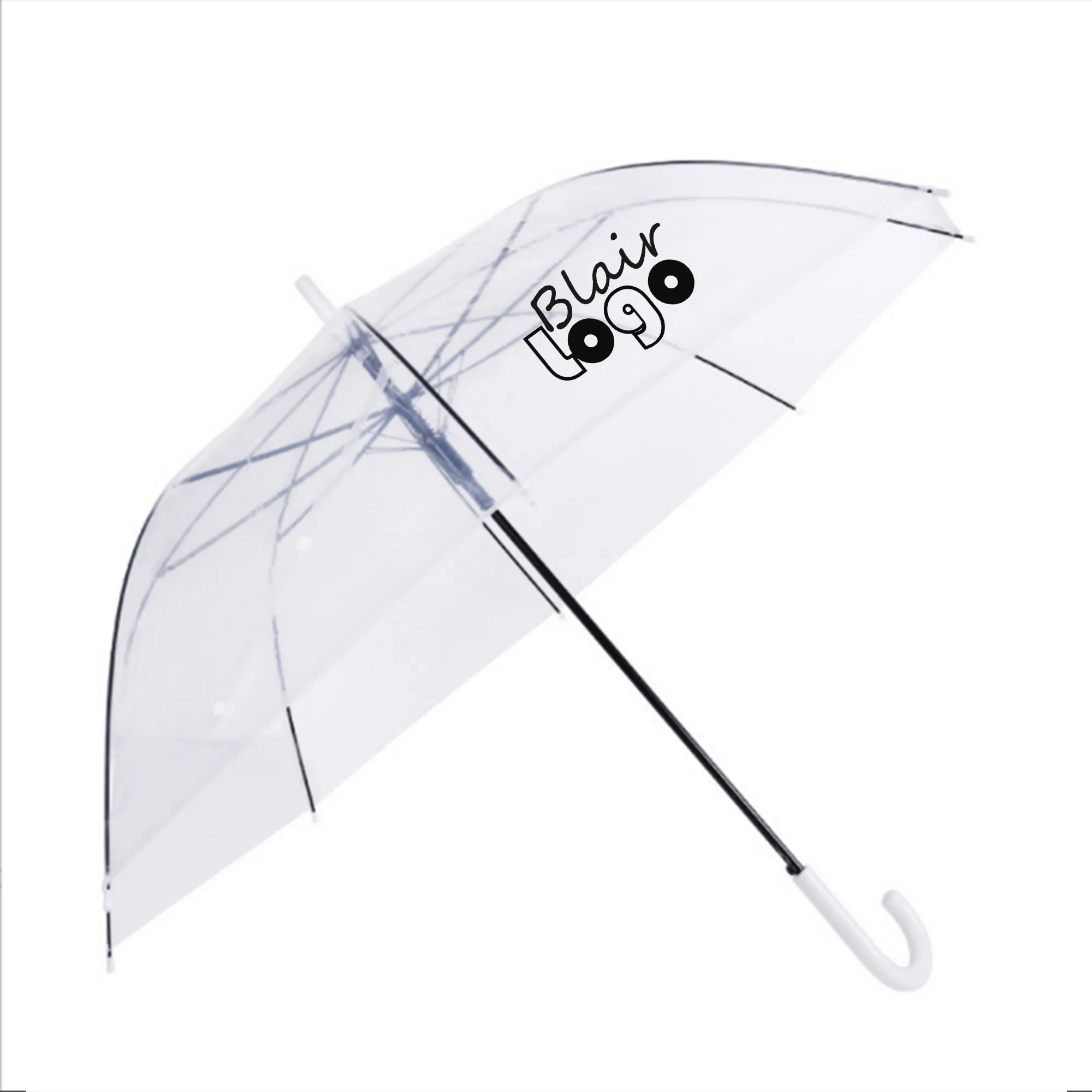 Transparent Gift Umbrella 2