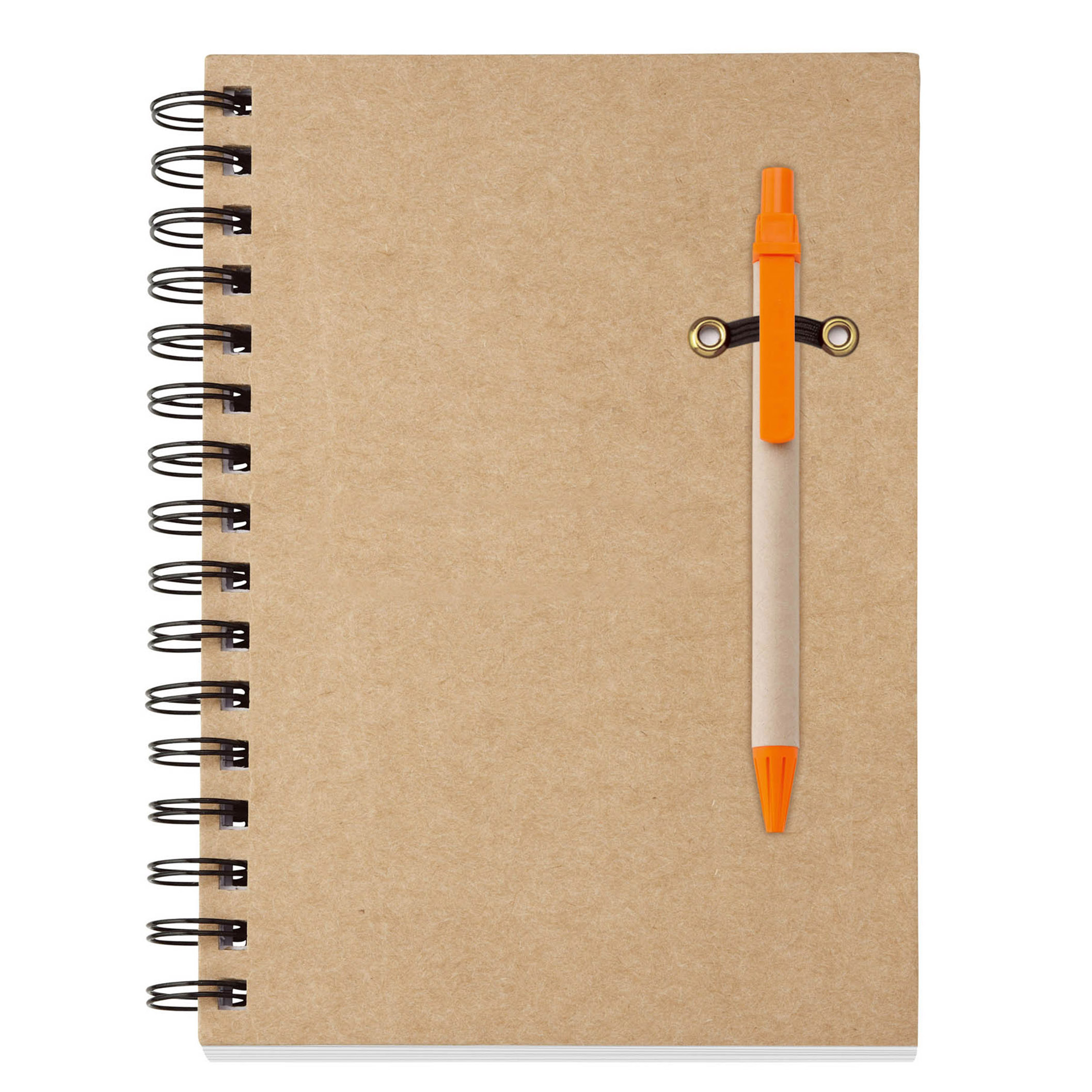 Ecologist notebook combo 13
