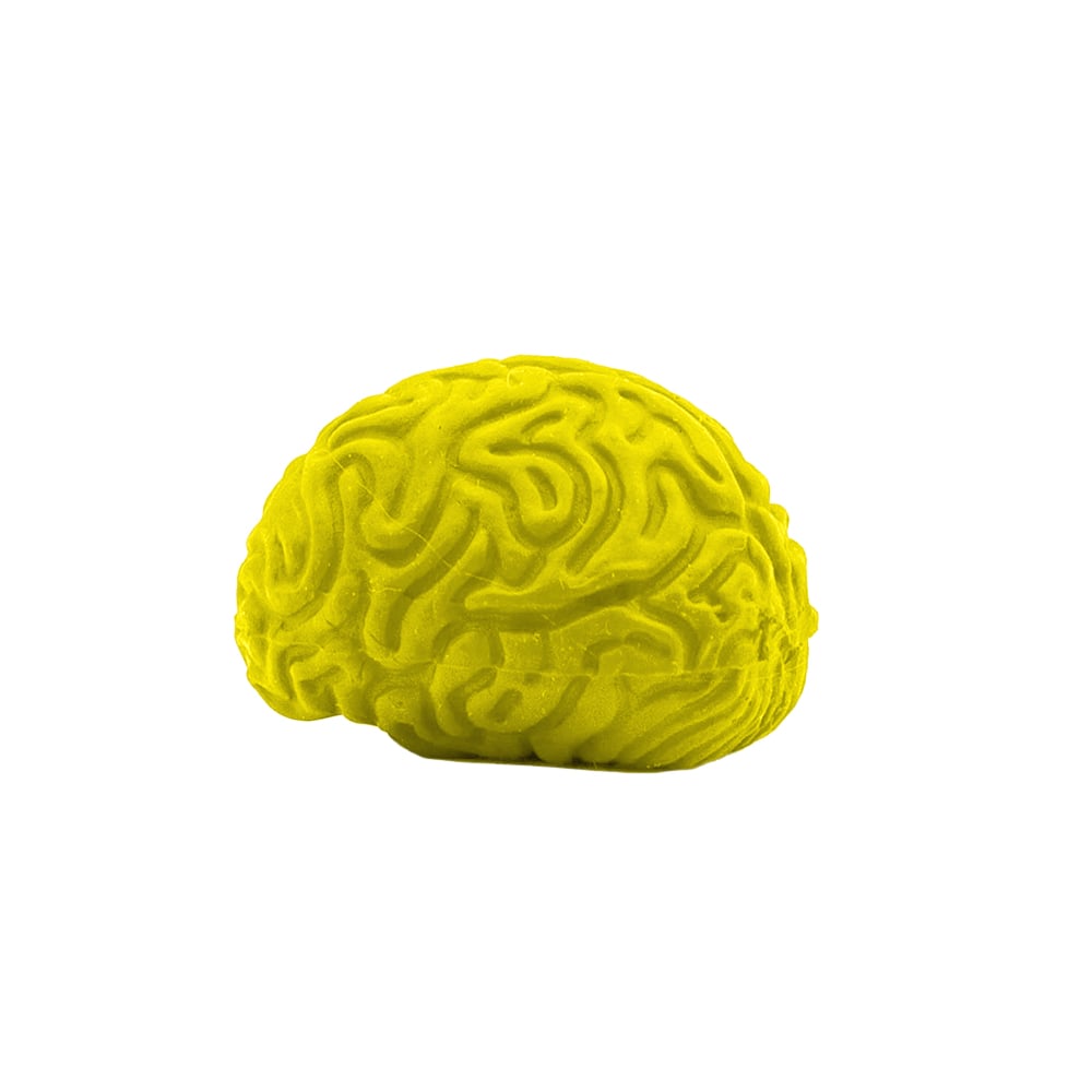 Pencil-Top Eraser Brain 4