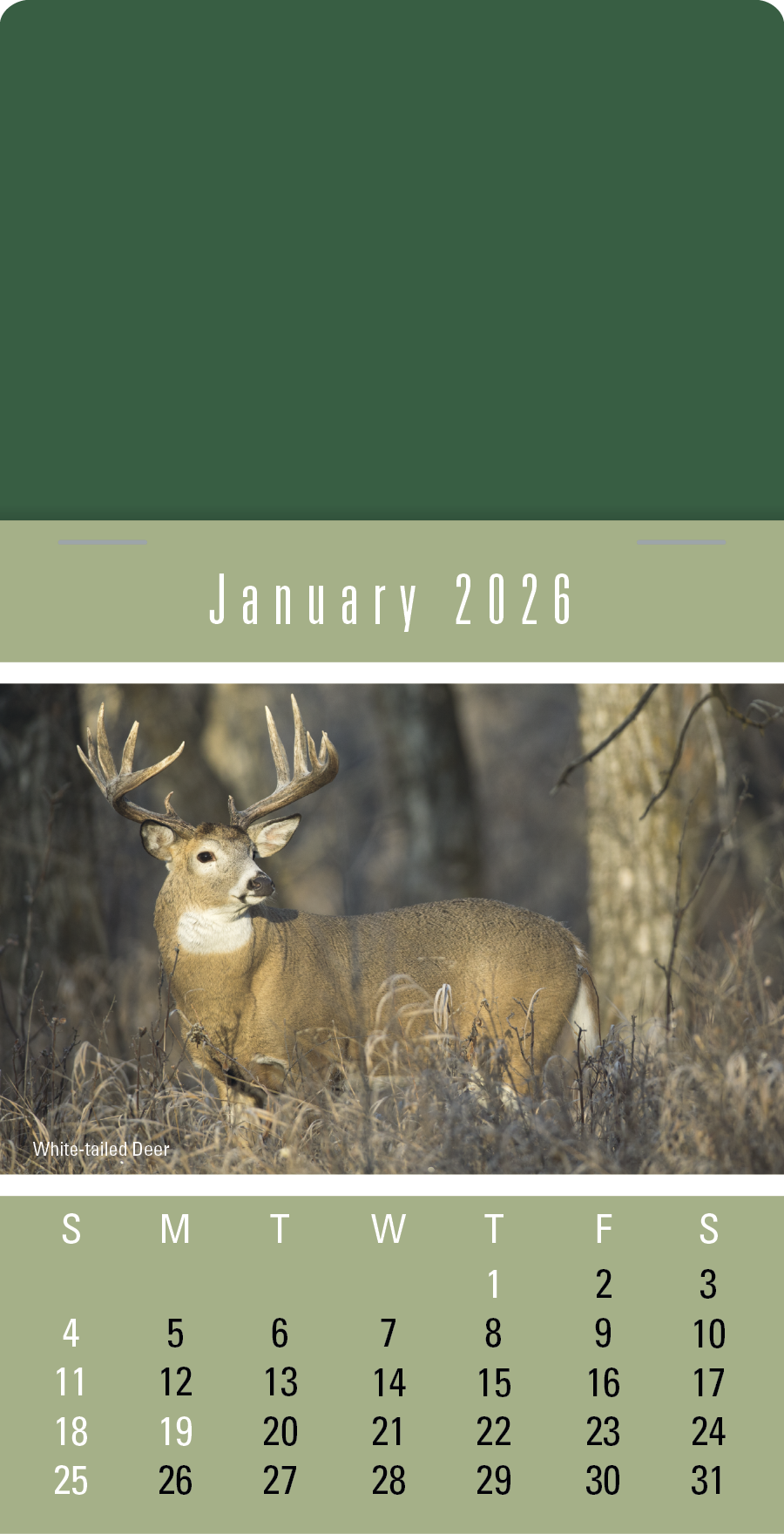 Press-N-Stick Sportsmen Calendar