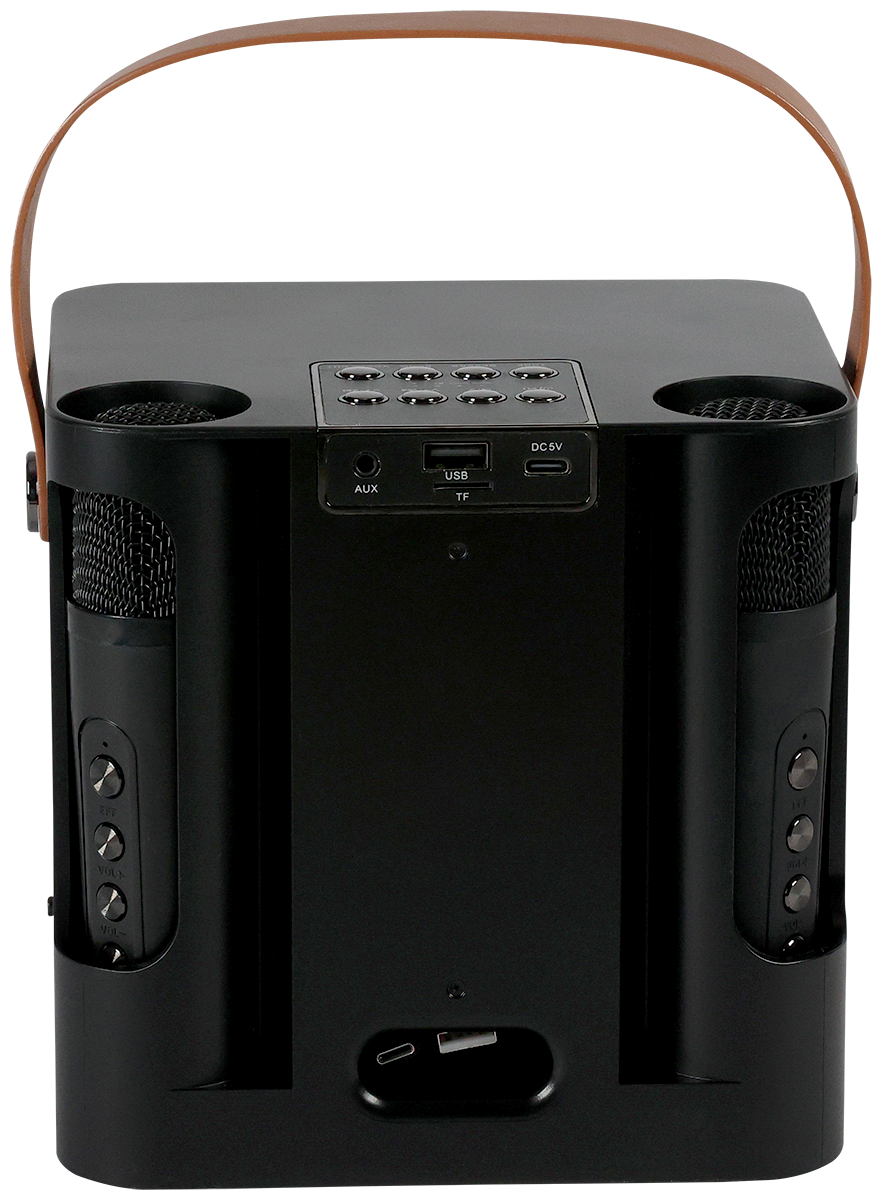 15W Karaoke Wireless Speaker with 2 Mics 50