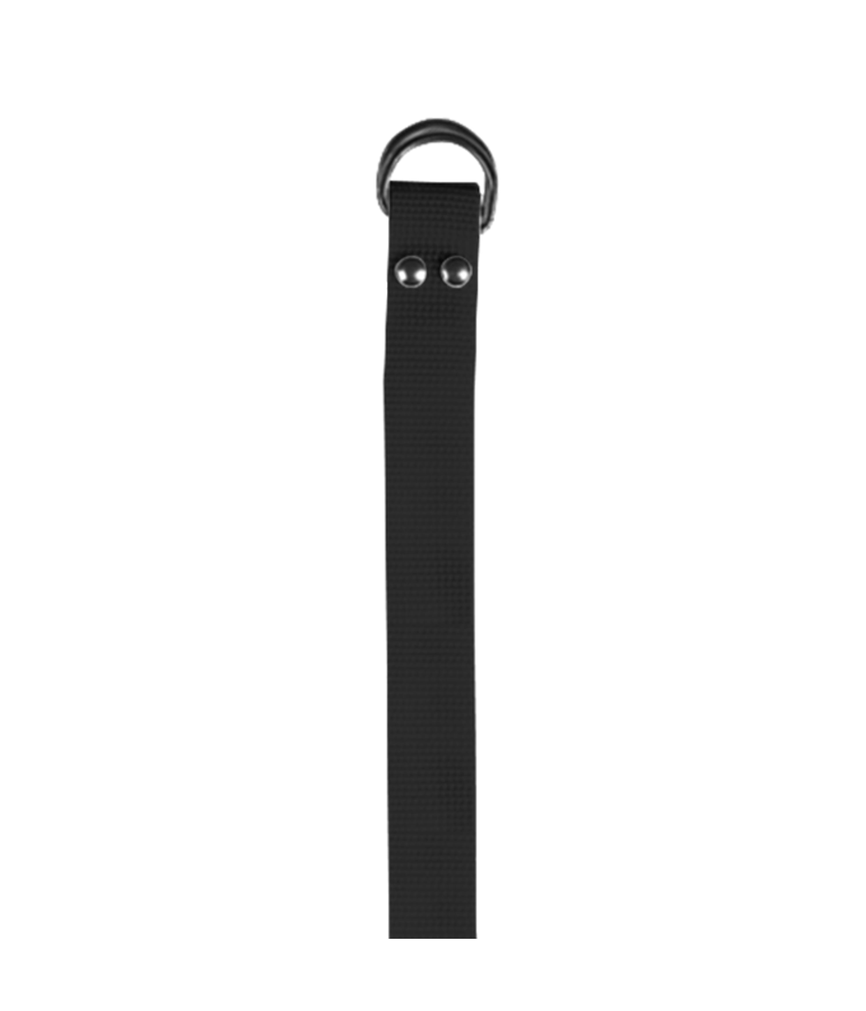 FOOTBALL BELT 25