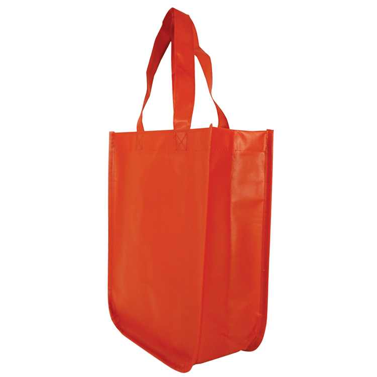 Sundale Small Matte Laminated Tote Bag 8