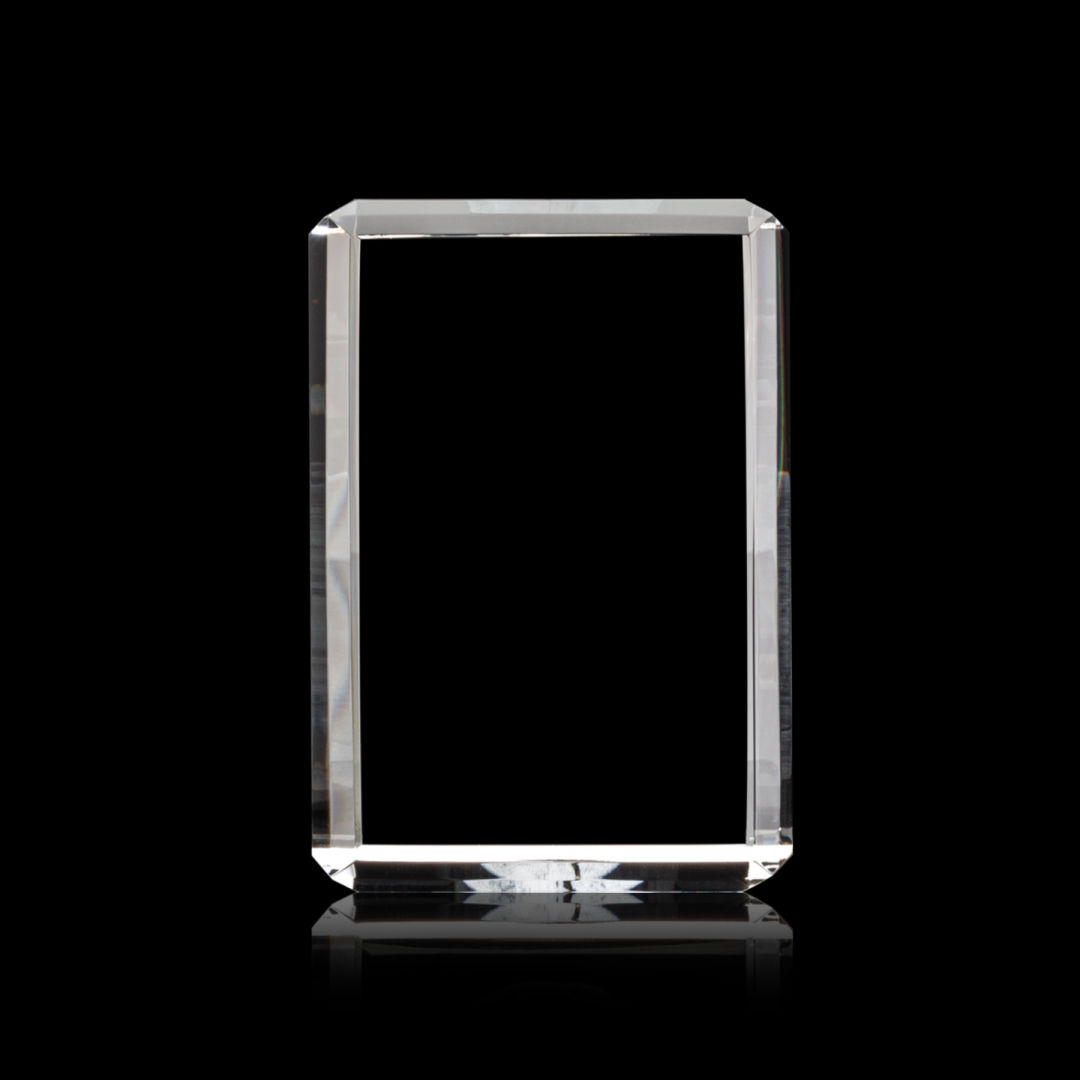 Fulton 3D Award - Horizontal 5