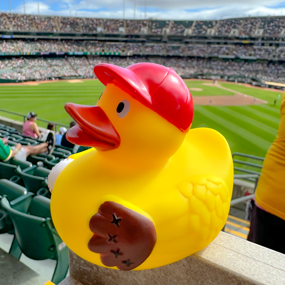 Baseball Duck 2