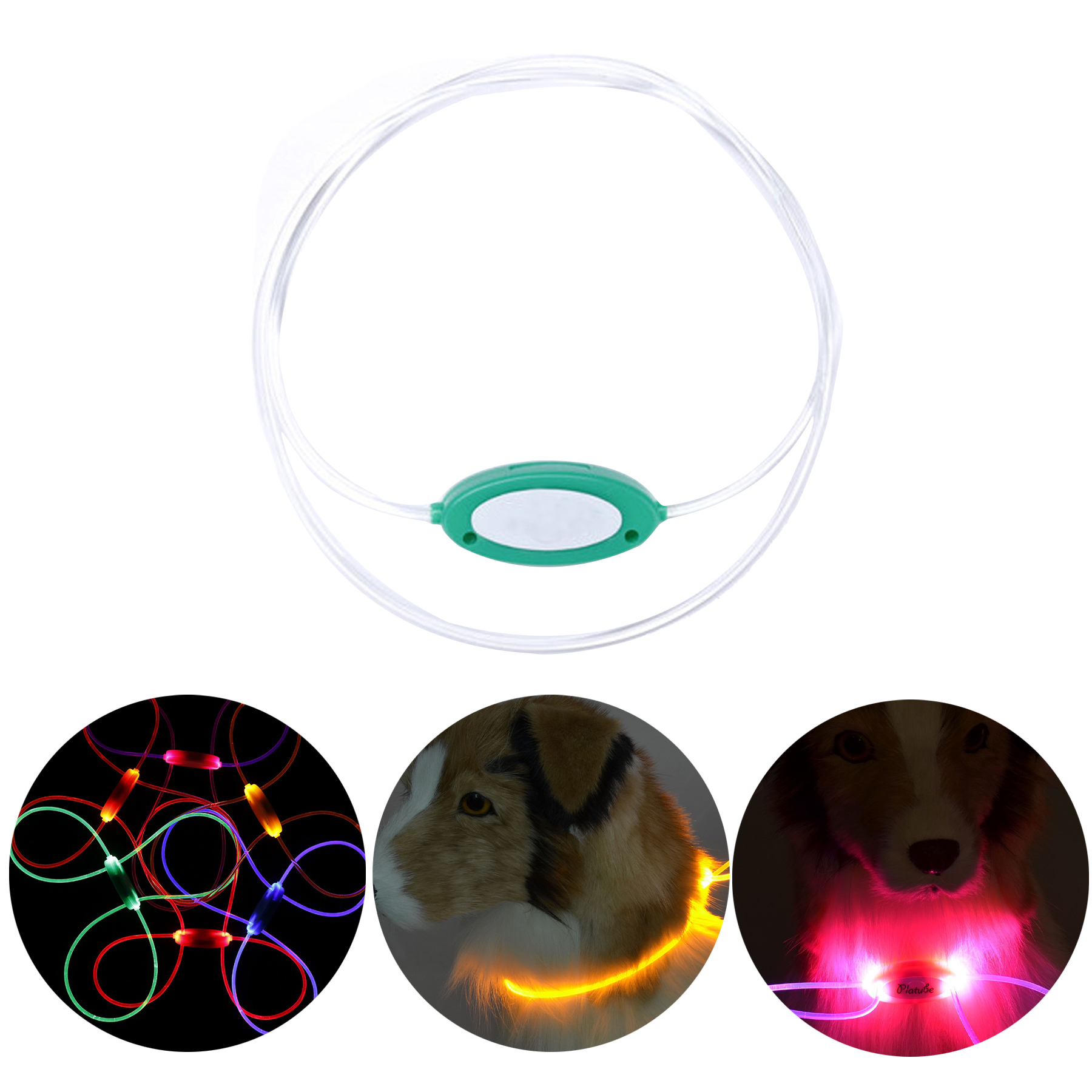 Light Up Dog Collar 1