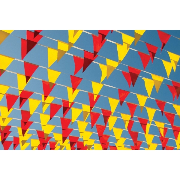 60' Semi-Stock Pennant Streamers with 24 Pennants 1