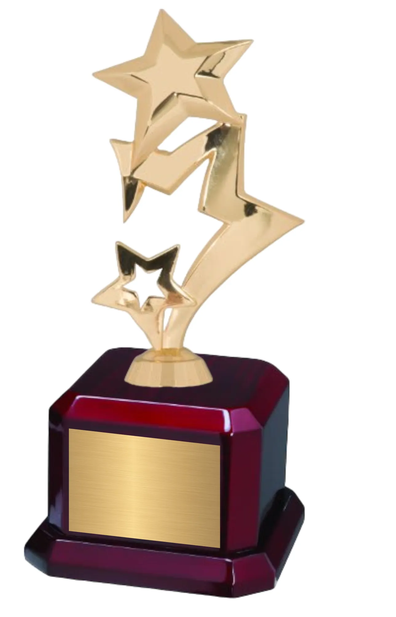 9 1/2" Star Trophy Award on Rosewood Royal Piano Finish Base 24
