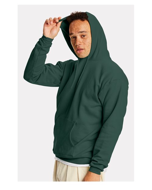 Unisex EcoSmart® Hooded Sweatshirt - P170 22