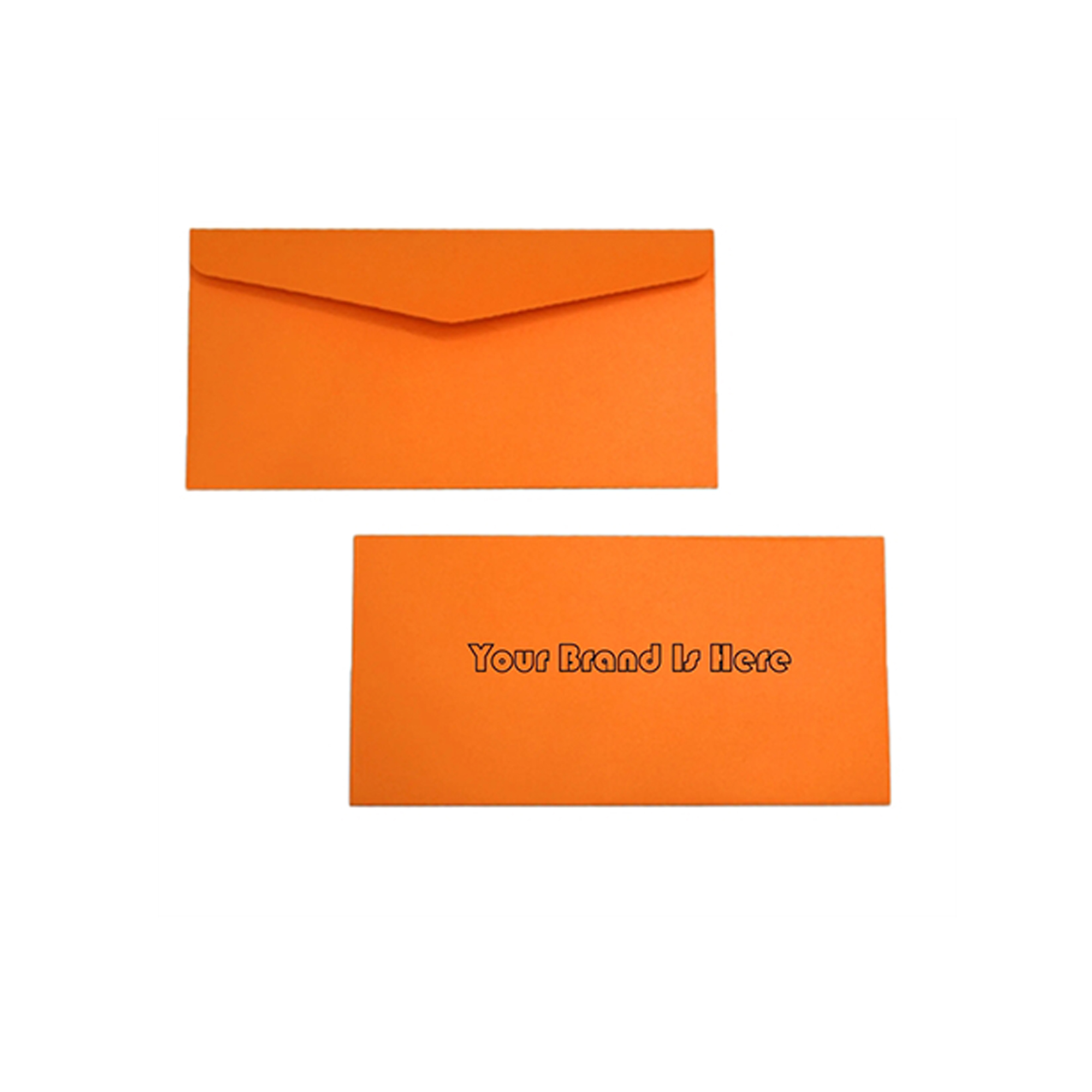 Customizable Business Mailing Envelope 1