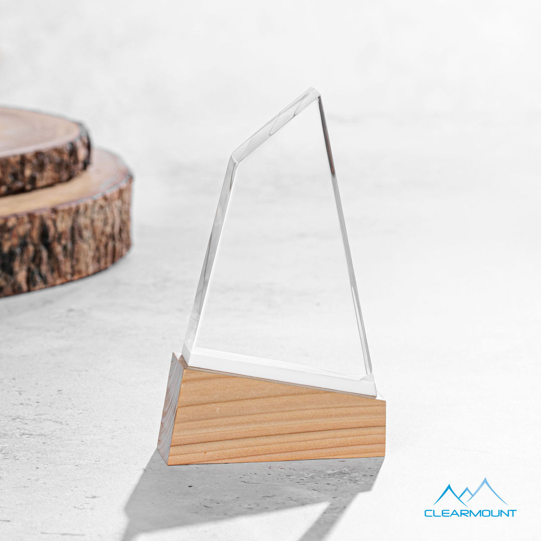 Terra VividPrint™ Award 10