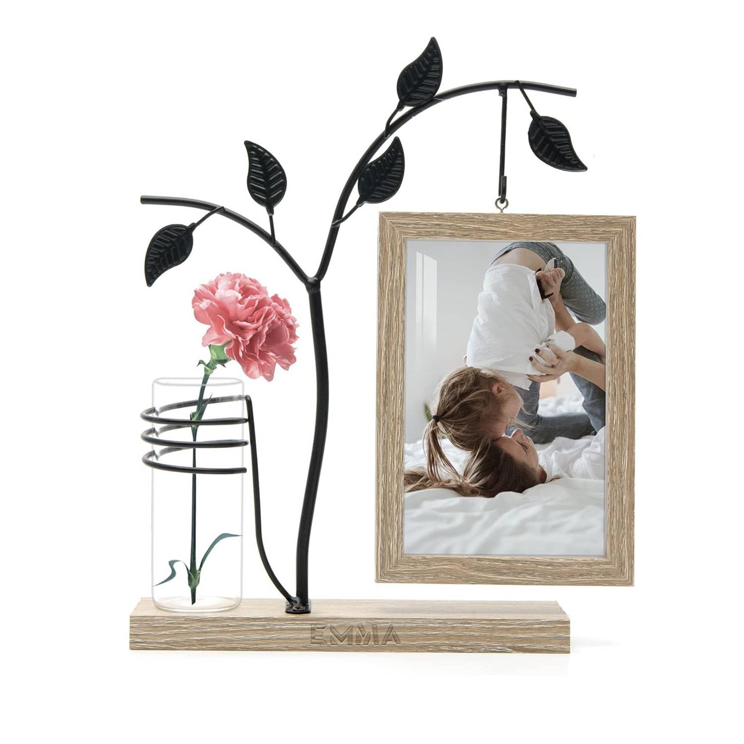 Iron Art Picture Frame Planter Holder for Home Office 3