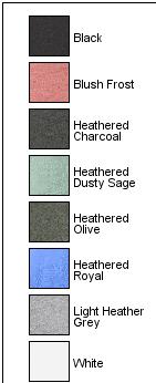 Women's Perfect Blend CVC Long Sleeve Tee