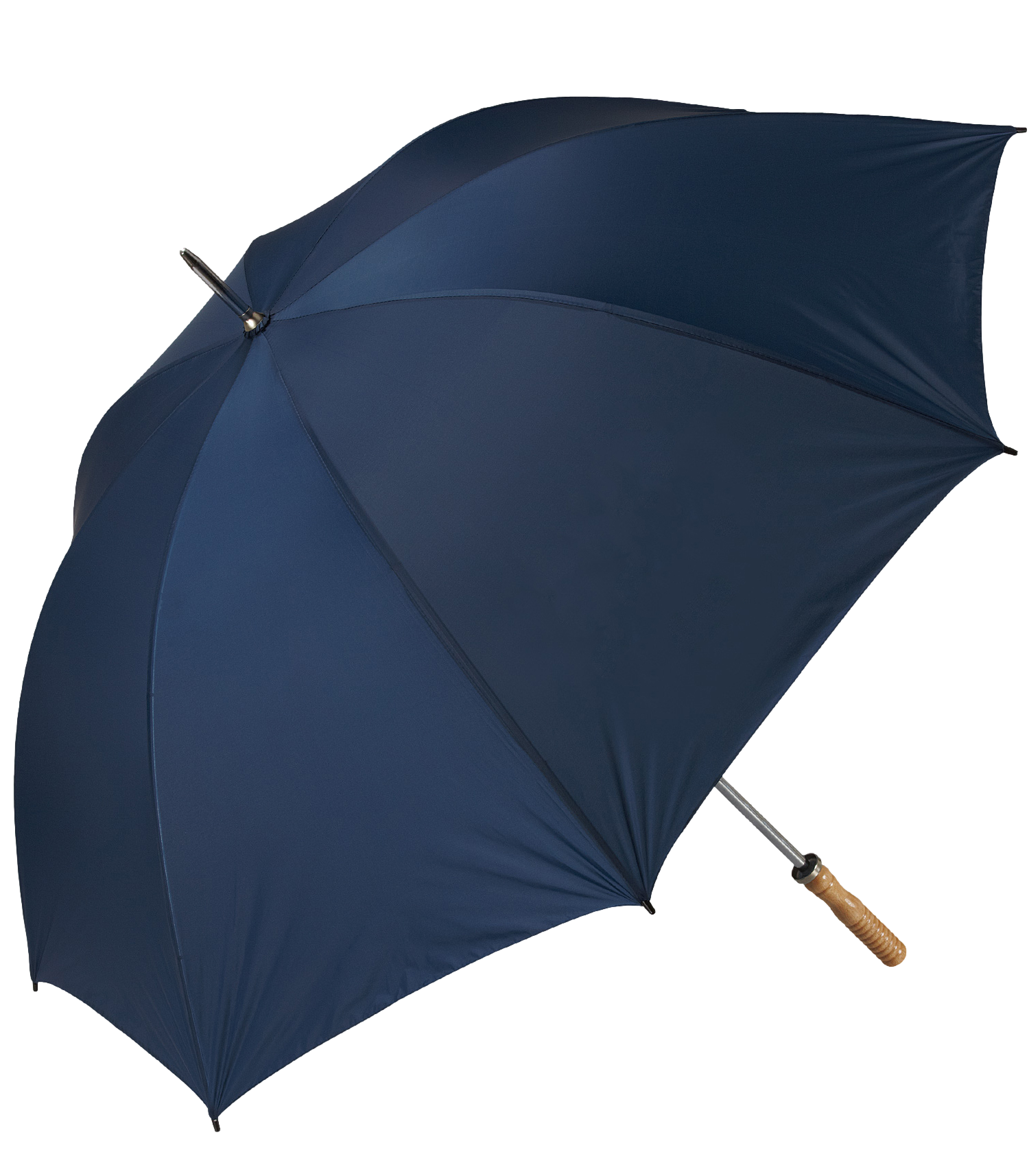 The Booster Umbrella 4