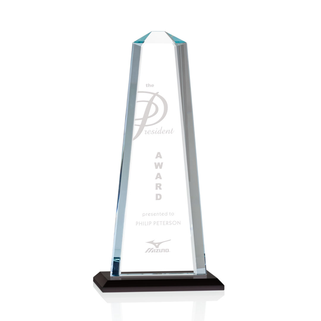 Pinnacle Award - Black 2