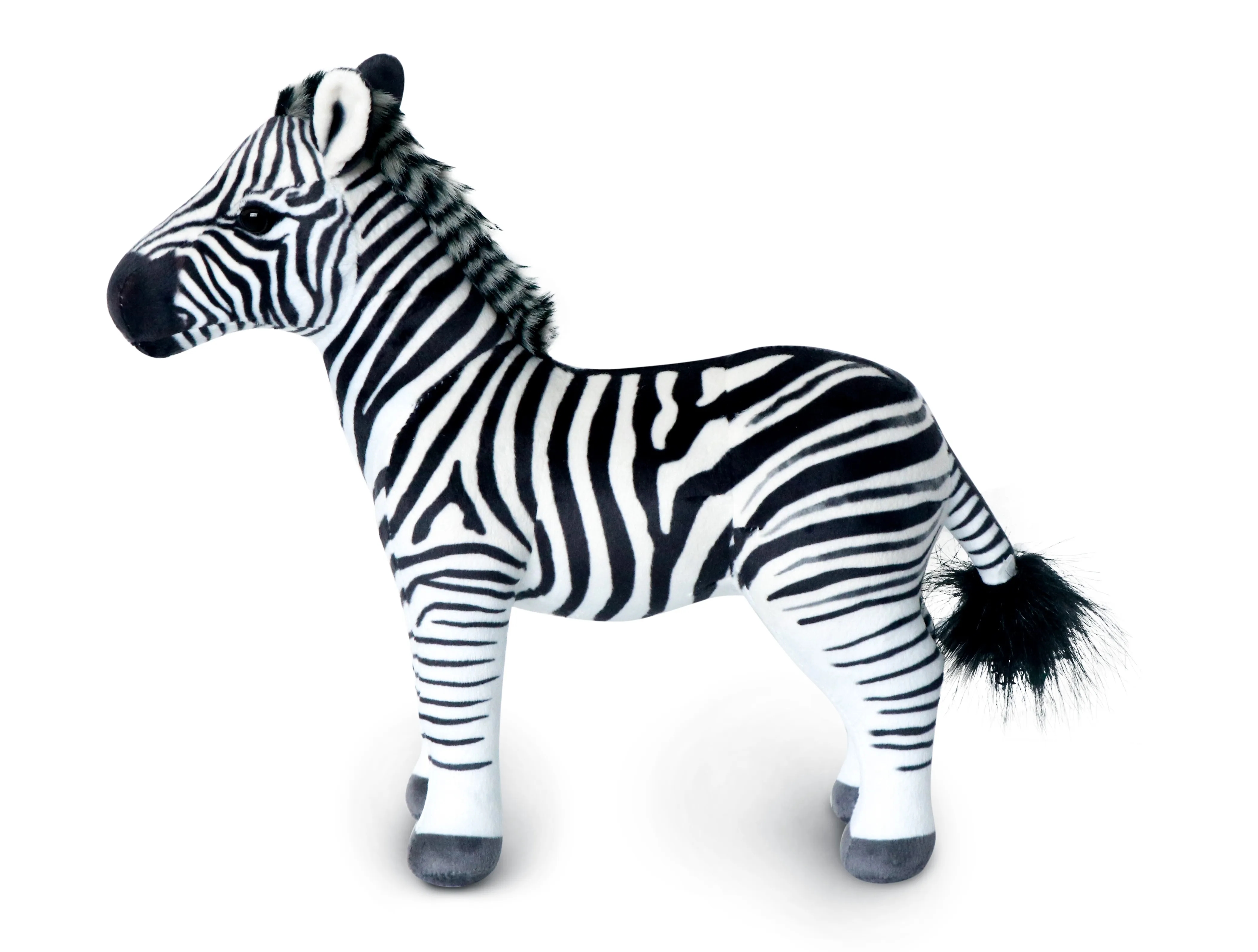 Zebra 2