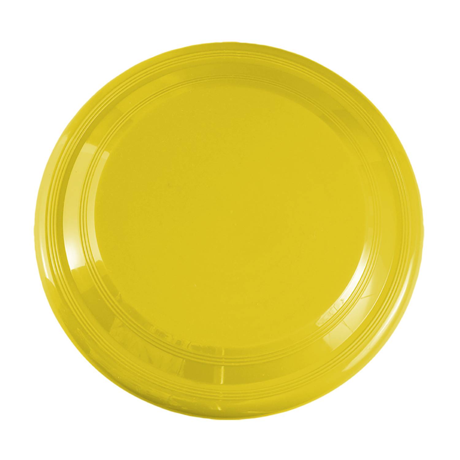 9 inch Flying Disc 22