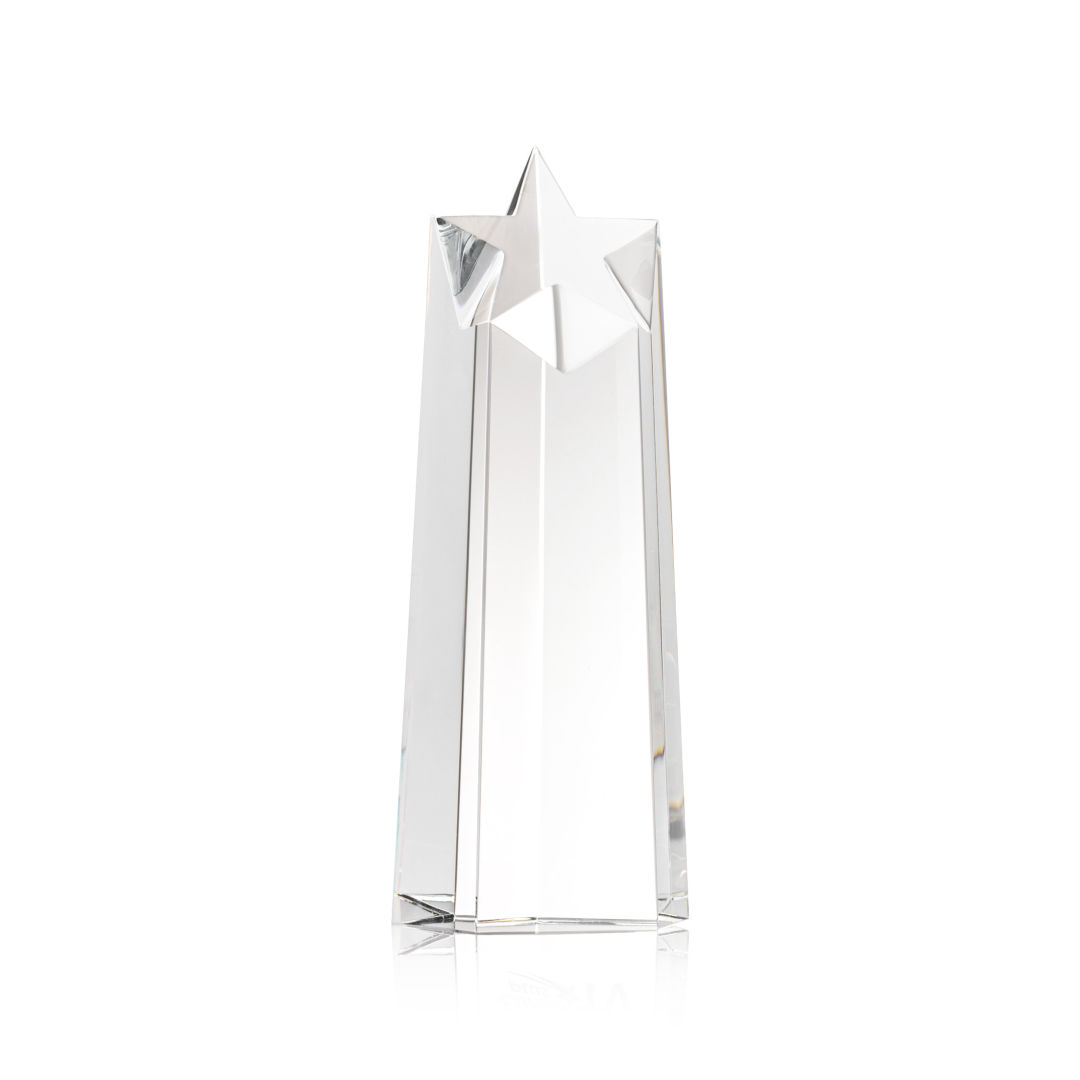 Delaware Star Award - Clear 2