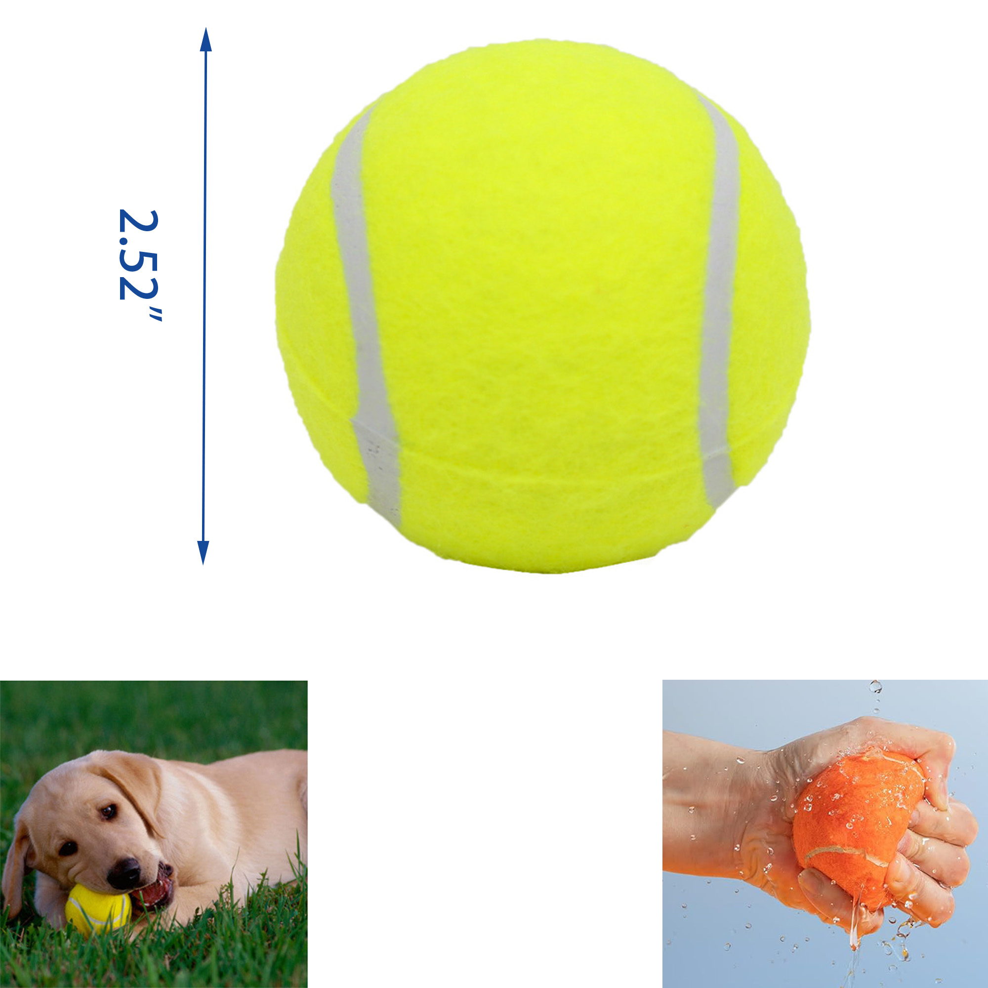 MOQ 50 Pet Tennis 3