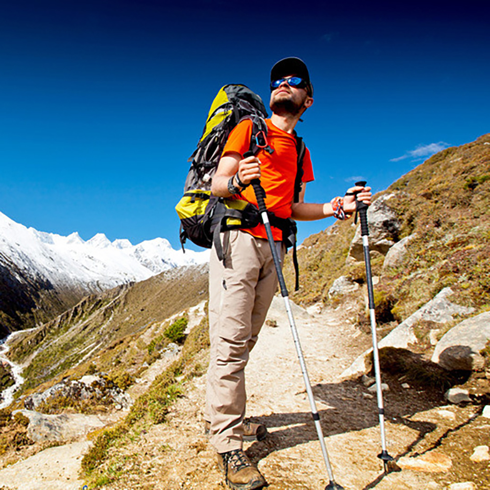 Shock-Absorbing Adjustable Hiking Pole 2