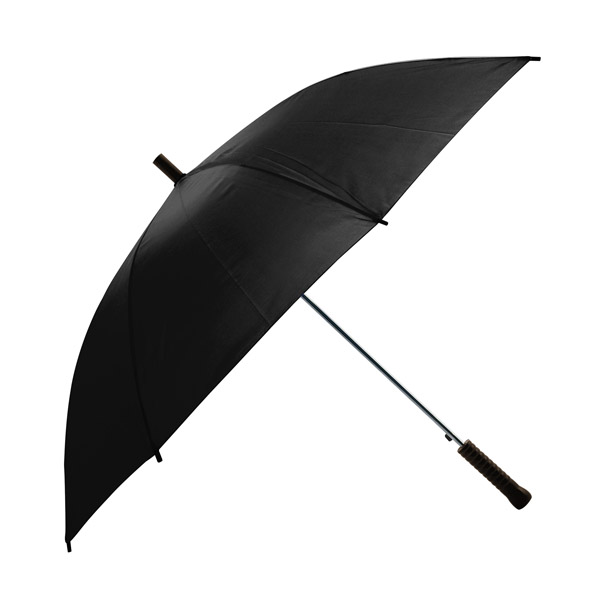 Shed Rain™ Pathfinder 48" Auto-Open Stick Umbrella 1