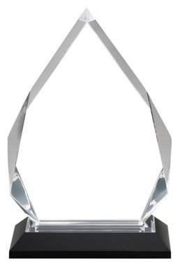 8 3/4" x 5 1/4" Clear Silver Diamond Acrylic Award 1