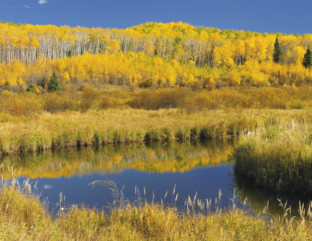 Good Value™ Scenic Canada - Window Calendar 25