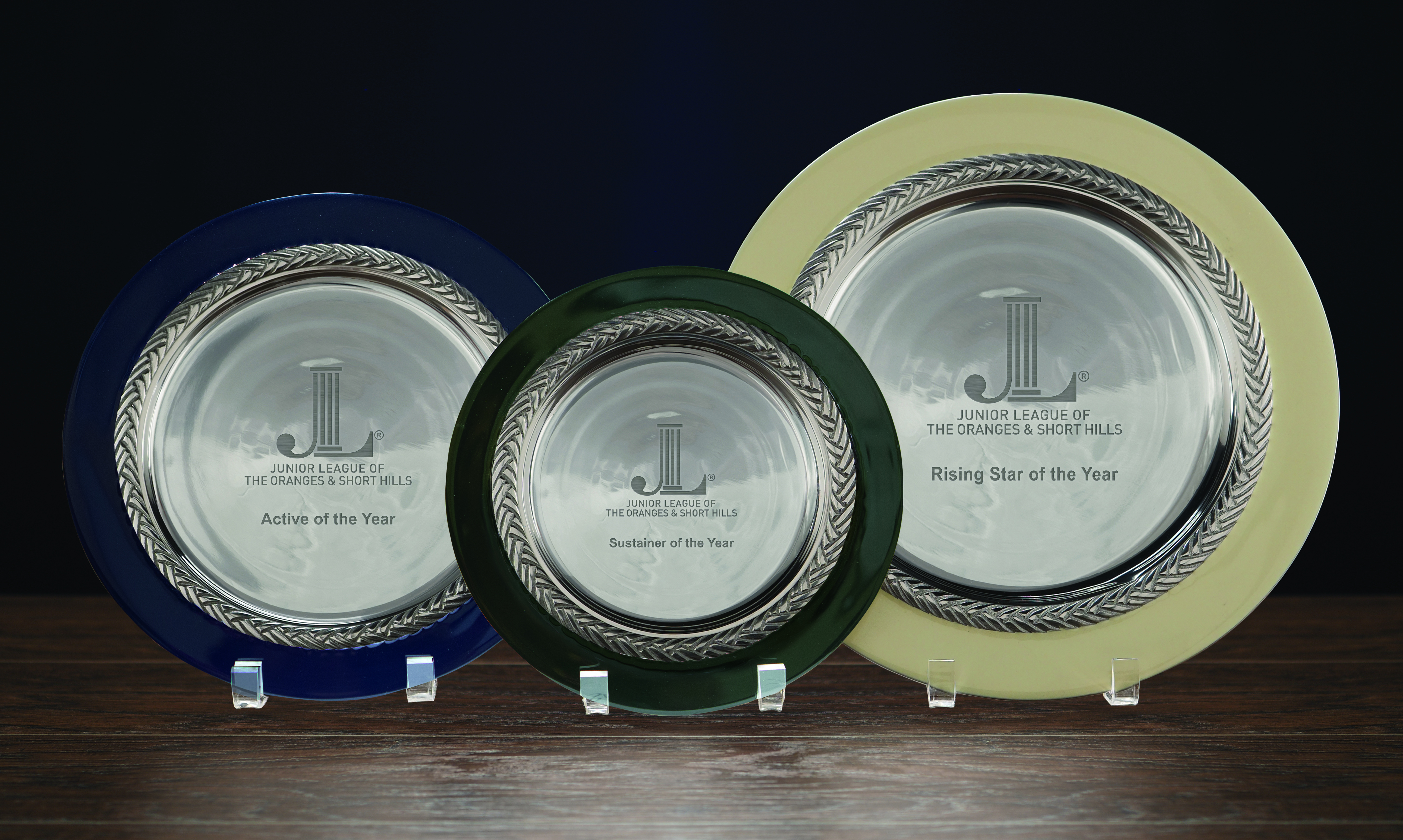 Sussex Award Plate 10