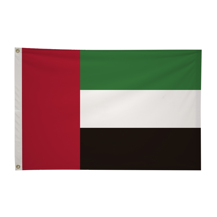 2' x 3'International Flag 85