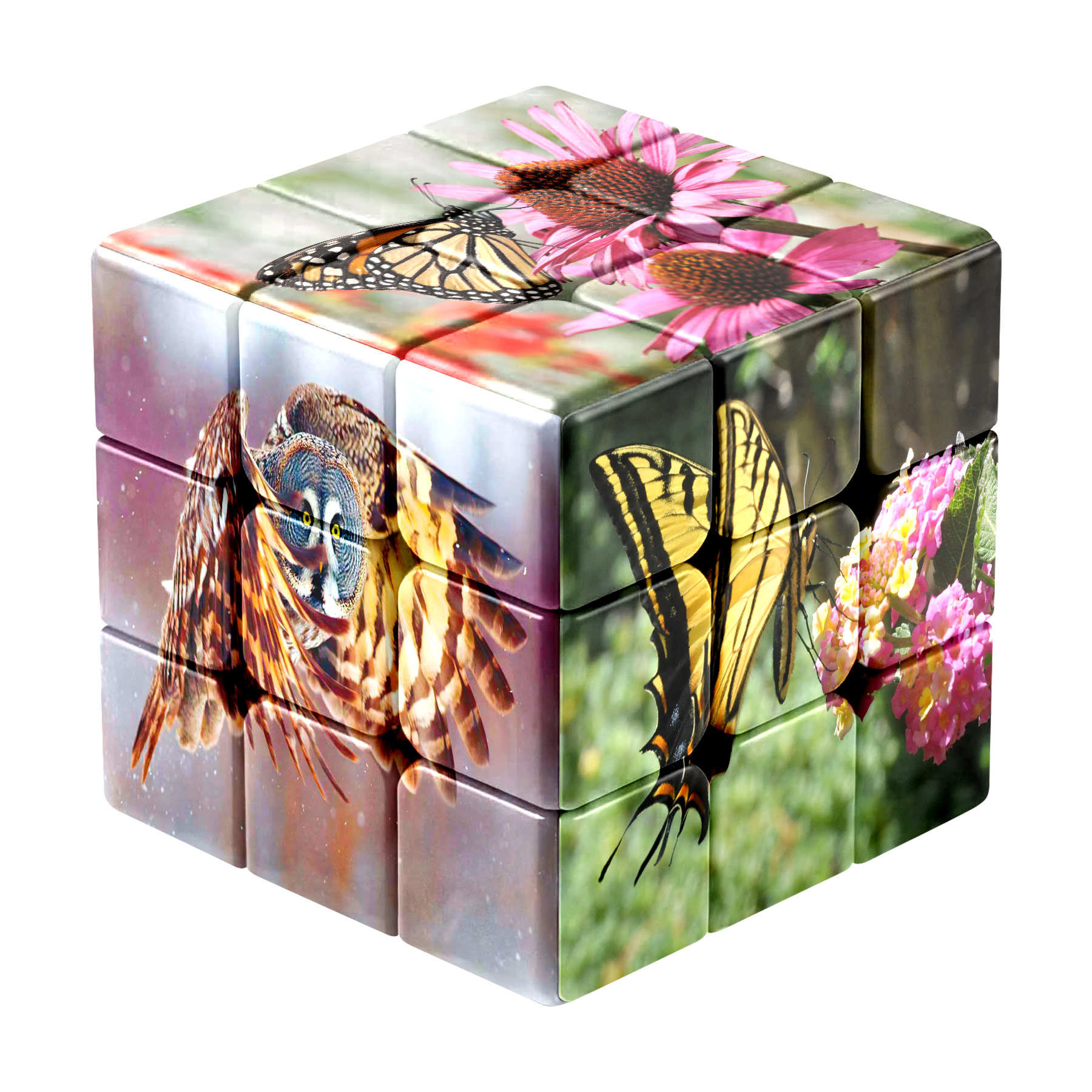 Customized Printing Fun Cube 7