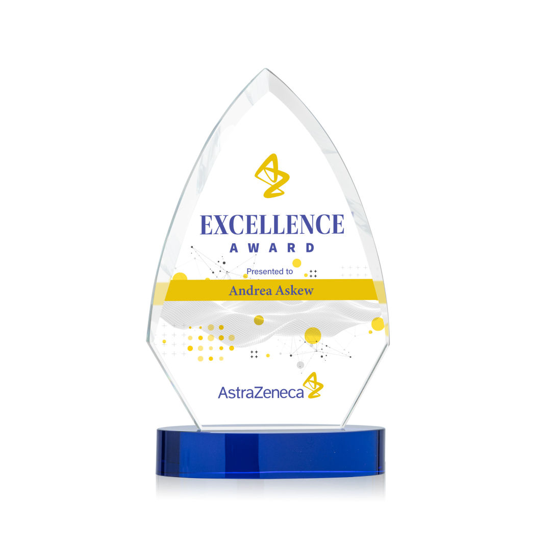 Idaho VividPrint™ Award - Blue 3
