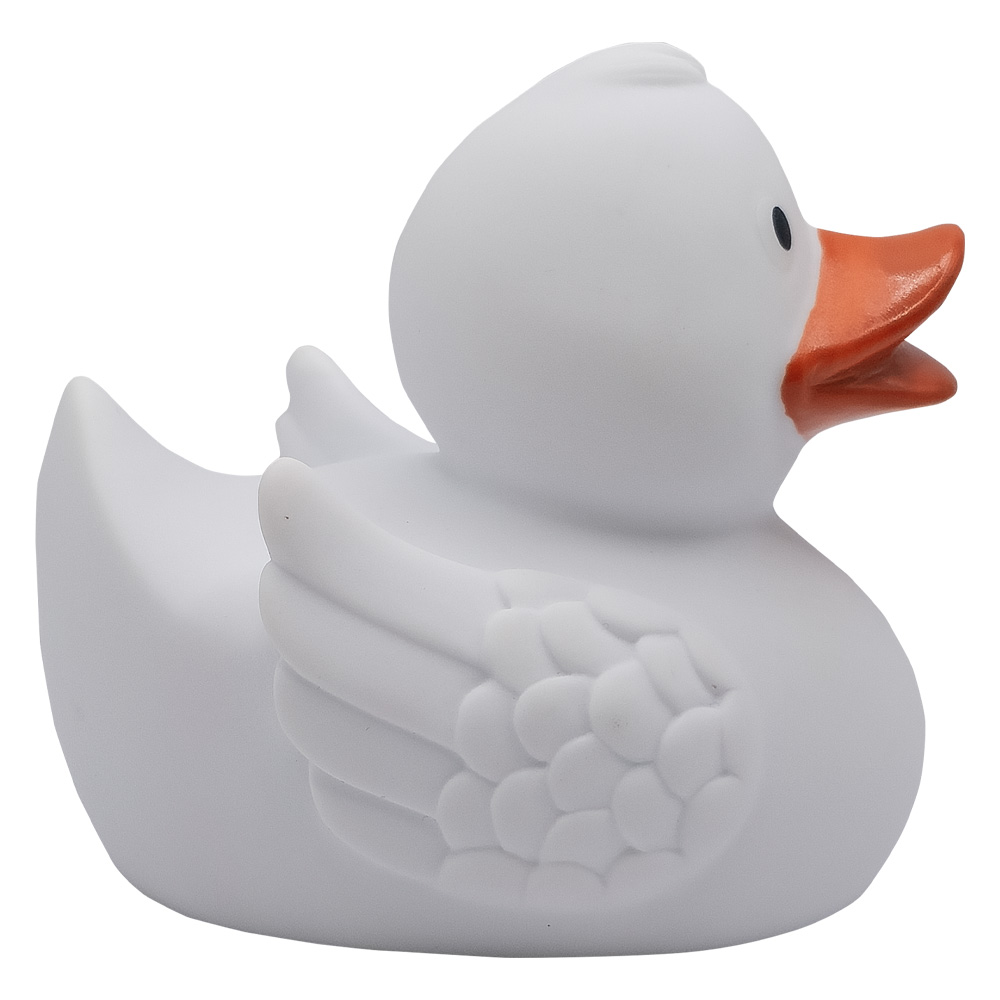 Duck With Wings 19