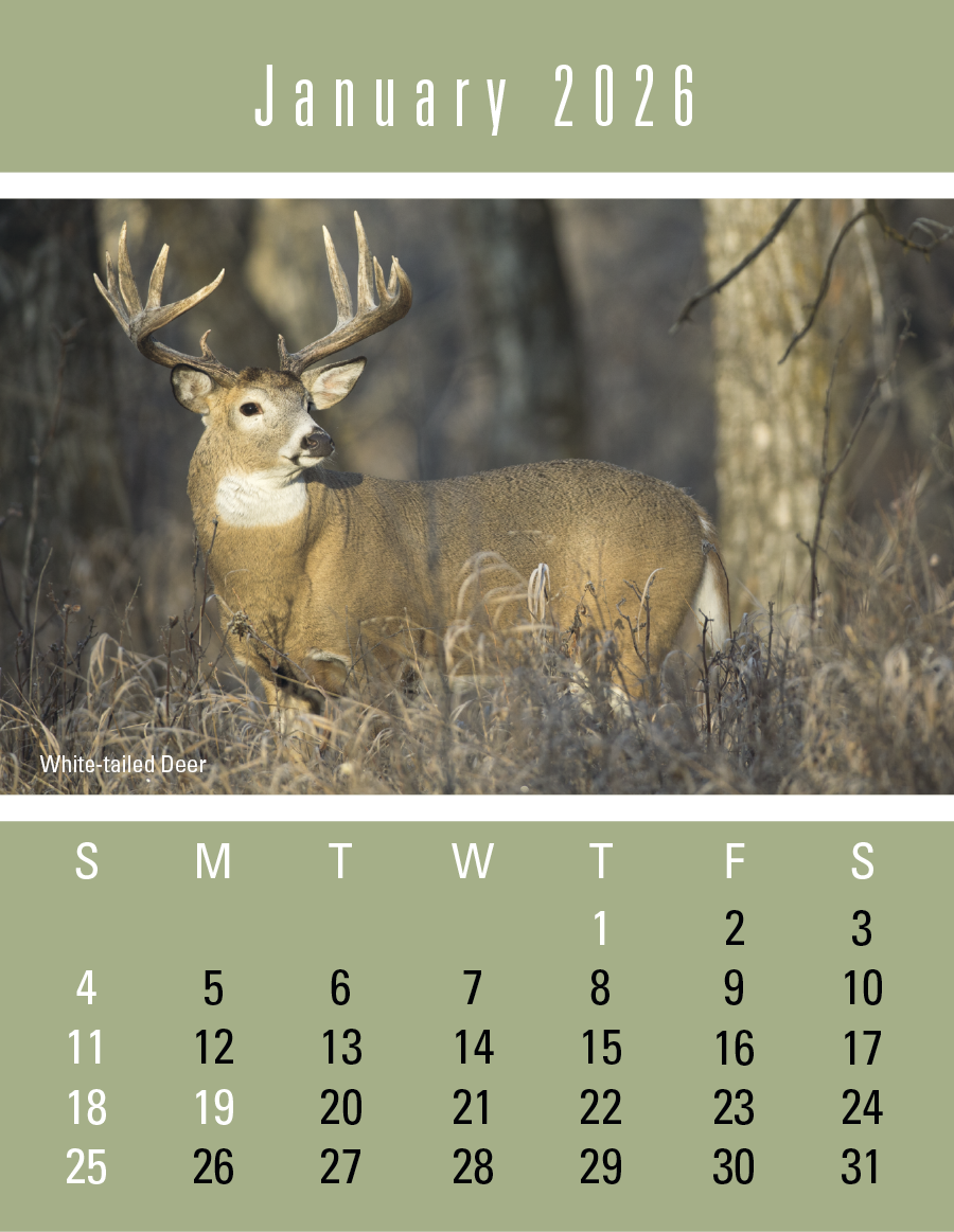 Press-N-Stick Sportsmen Calendar