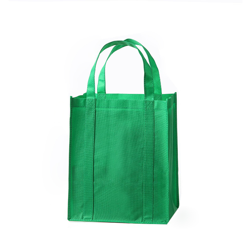 Non-woven Bag 1