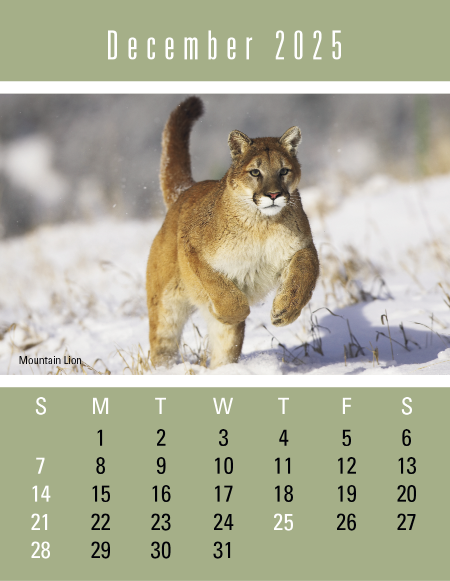 Press-N-Stick Sportsmen Calendar