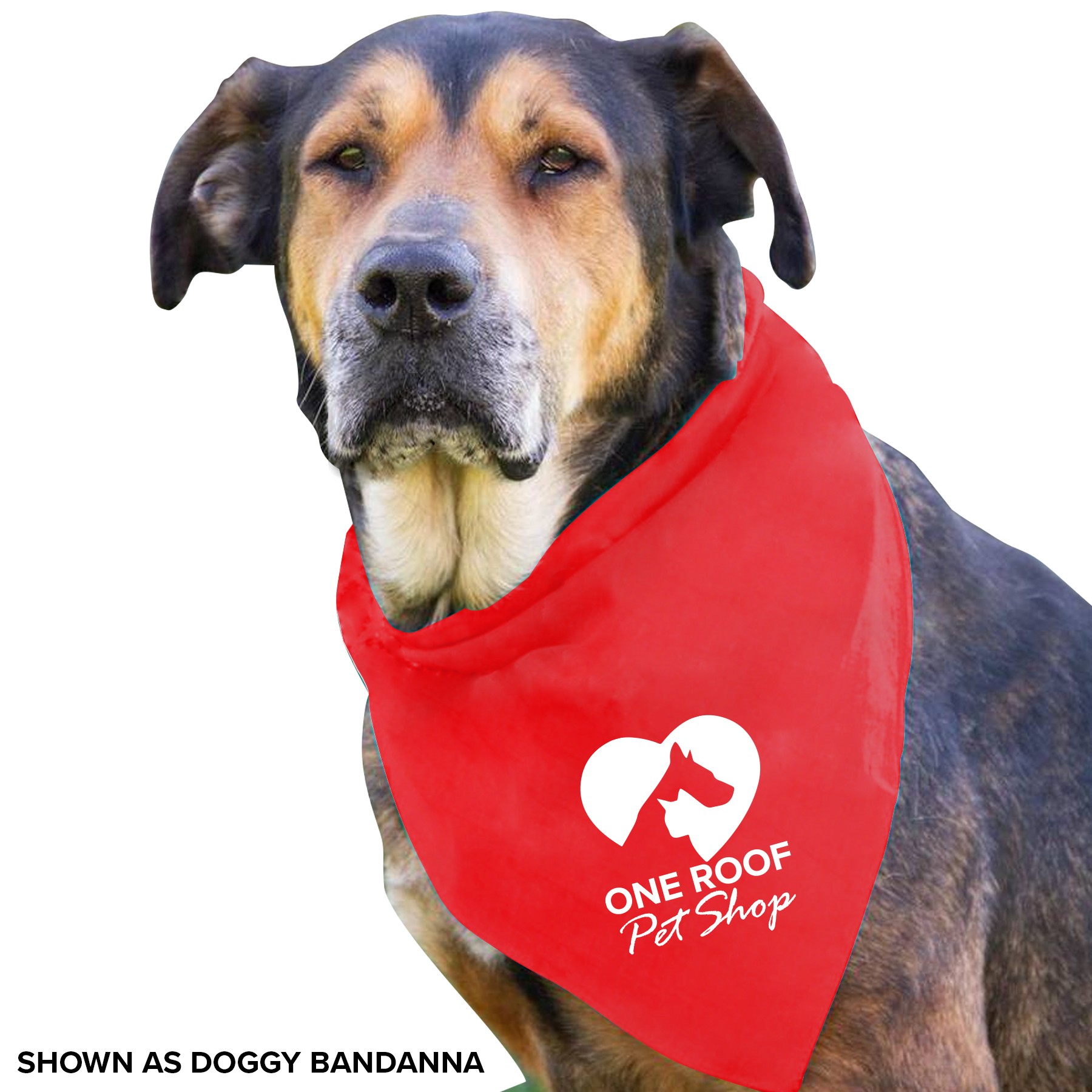 Large Triangle Bandana 2