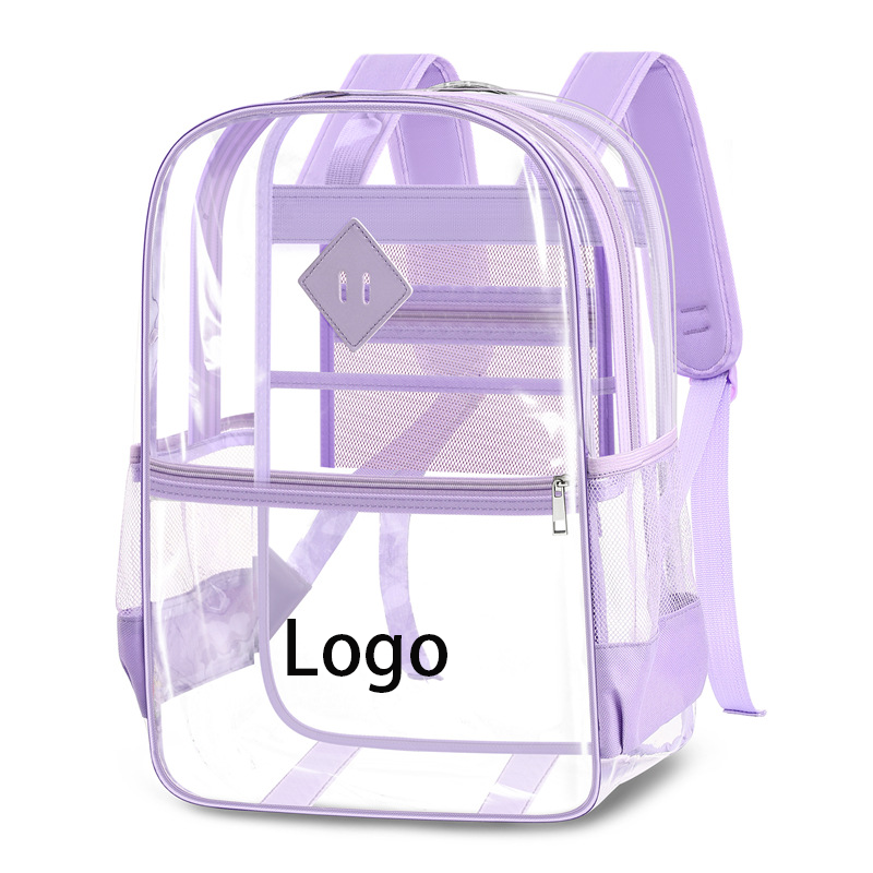 Transparent Backpack 1