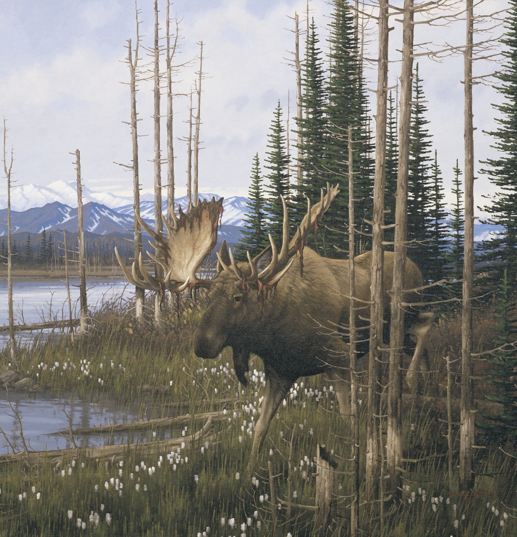 Triumph® Calendars Wildlife Art Calendar 3