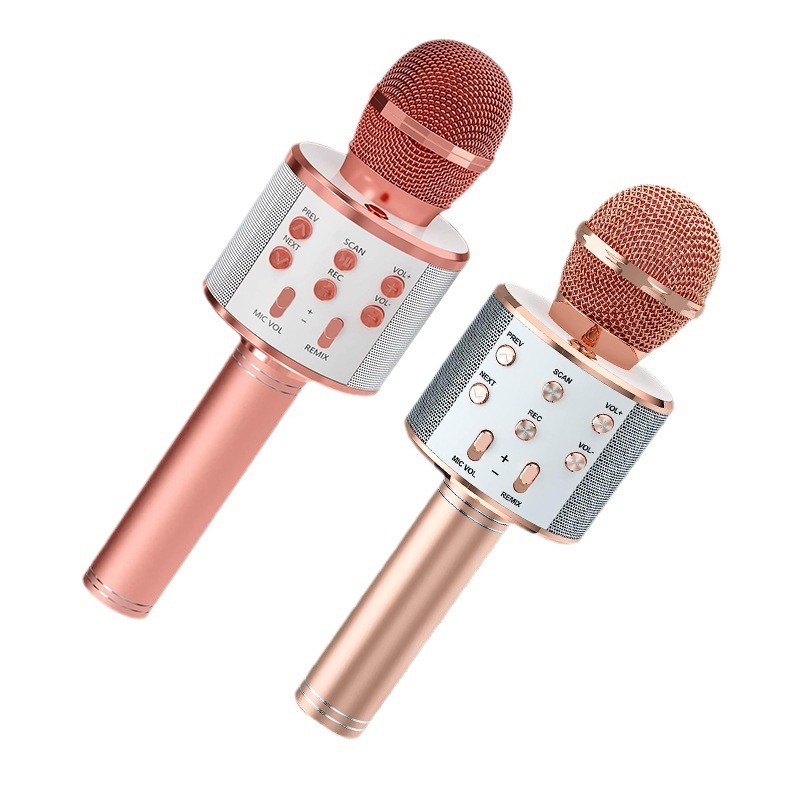 Metal karaoke Microphone 2