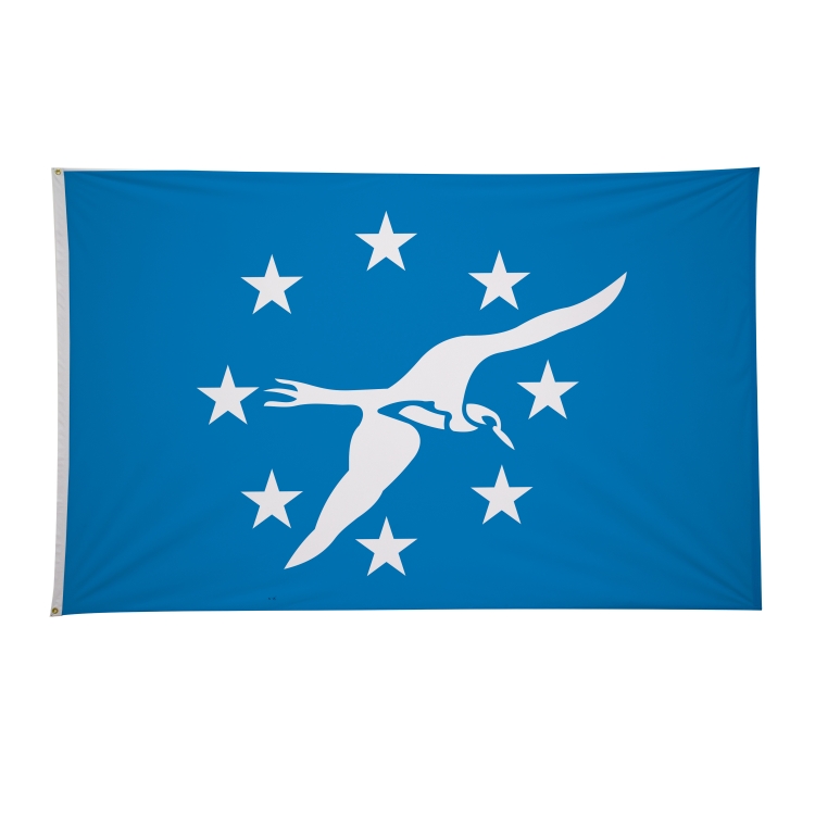 5' x 8' City Flags 34